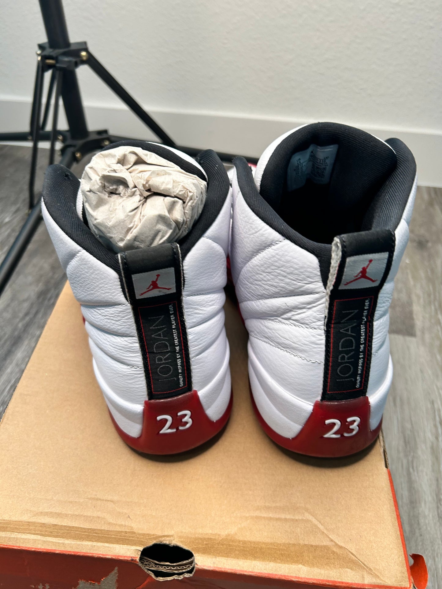 Jordan 12 (2023)